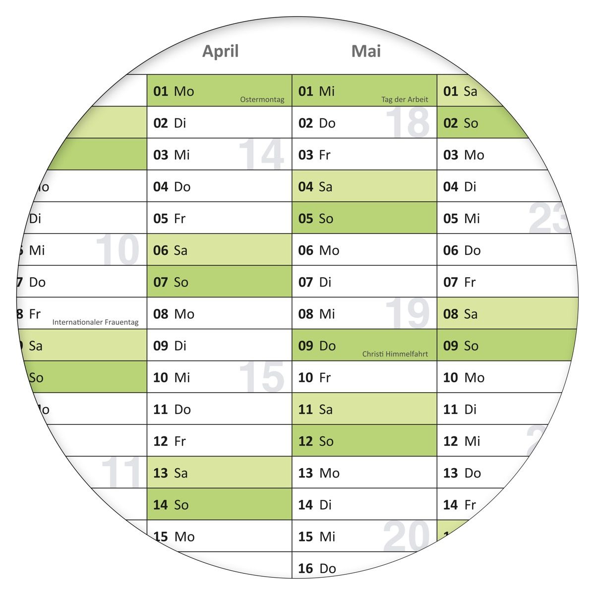 Abwischbarer Wandkalender 2025 Jahresplaner grün Format 84,0x59,0cm DIN A1 GEROLLT