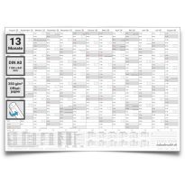XL Schülerkalender 2025/2026 Jahresplaner grau Format: 118,8 x 84cm- DIN A0 - GEROLLT – Schuljahr 2025/26, Schuljahreskalender, Kalender für Schüler und Lehrer, Schulkalender Wandkalender - deutsch