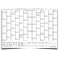 XL Schülerkalender 2025/2026 Jahresplaner grau Format: 118,8 x 84cm- DIN A0 - GEROLLT – Schuljahr 2025/26, Schuljahreskalender, Kalender für Schüler und Lehrer, Schulkalender Wandkalender - deutsch