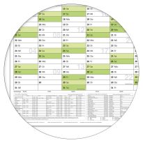 Abwischbarer XXL Wandkalender 2025 grün Jahresplaner Format: 140x100cm – DIN B0 inkl. 4 Marker- GEROLLT – Wandplaner, Jahreskalender, Kalender, Poster Plakat - deutsch