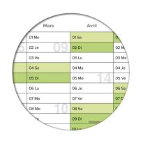 Calendrier mural/planificateur annuel vert XL 2023 grand format A1 84,0 x 59,0 cm matériau 135g/m2 impression de qualité plié calendrier annuel, calendrier - français