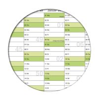 Abwischbarer Schülerkalender Jahresplaner grün inkl.1 Marker DIN B1 100,0 x 70,0cm 250g Papier gerollt Schuljahreskalender Kalender für Schüler und Lehrer Schulkalender Wandkalender. Deutsche Sprache