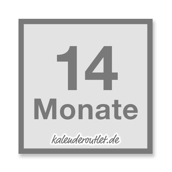 XL Wandkalender 2026 mit 14 Monaten Übersicht Jahresplaner grau Format: 118,8x84,0cm DIN A0 GEROLLT – Wandplaner, Jahreskalender, Poster Plakat - deutsch